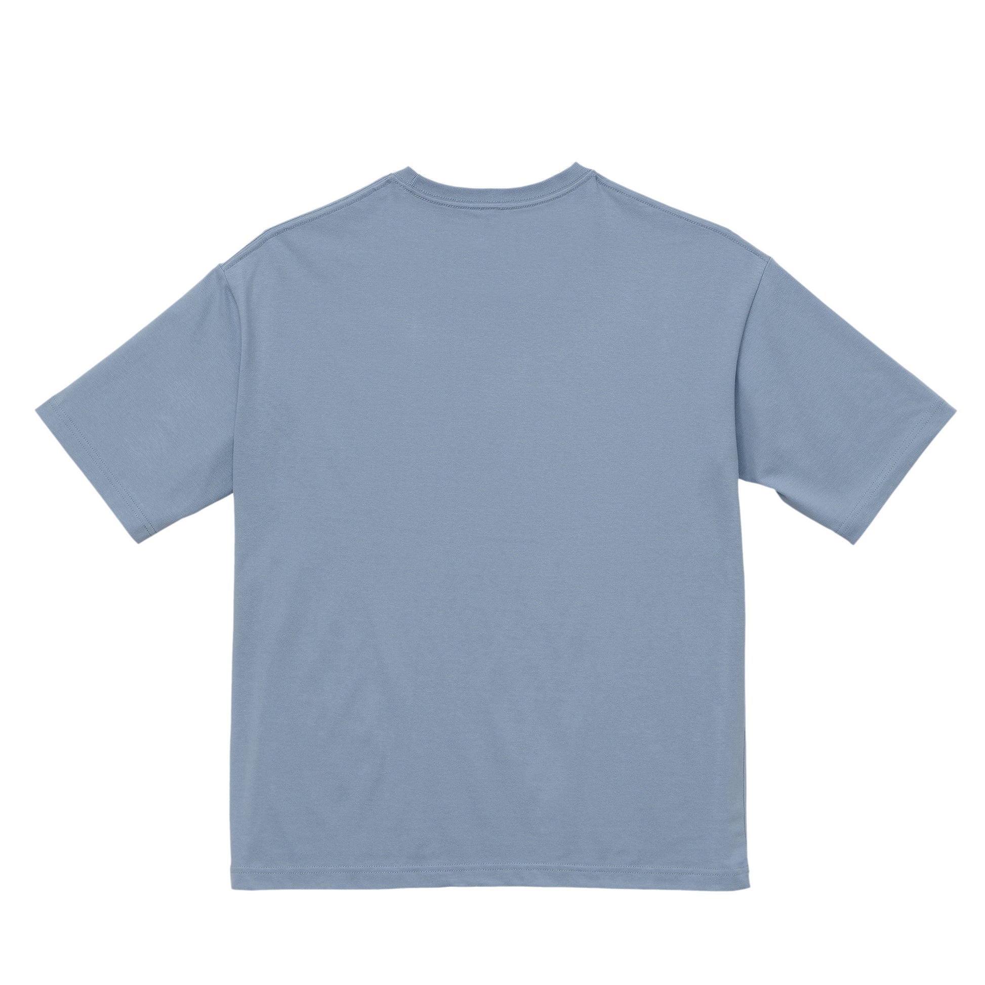 ビションフリーゼ　オーバーサイズT acid-blue image