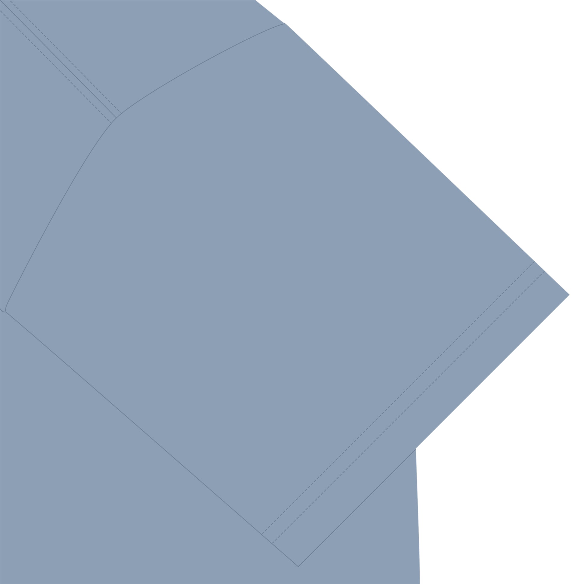 ビションフリーゼT acid-blue image