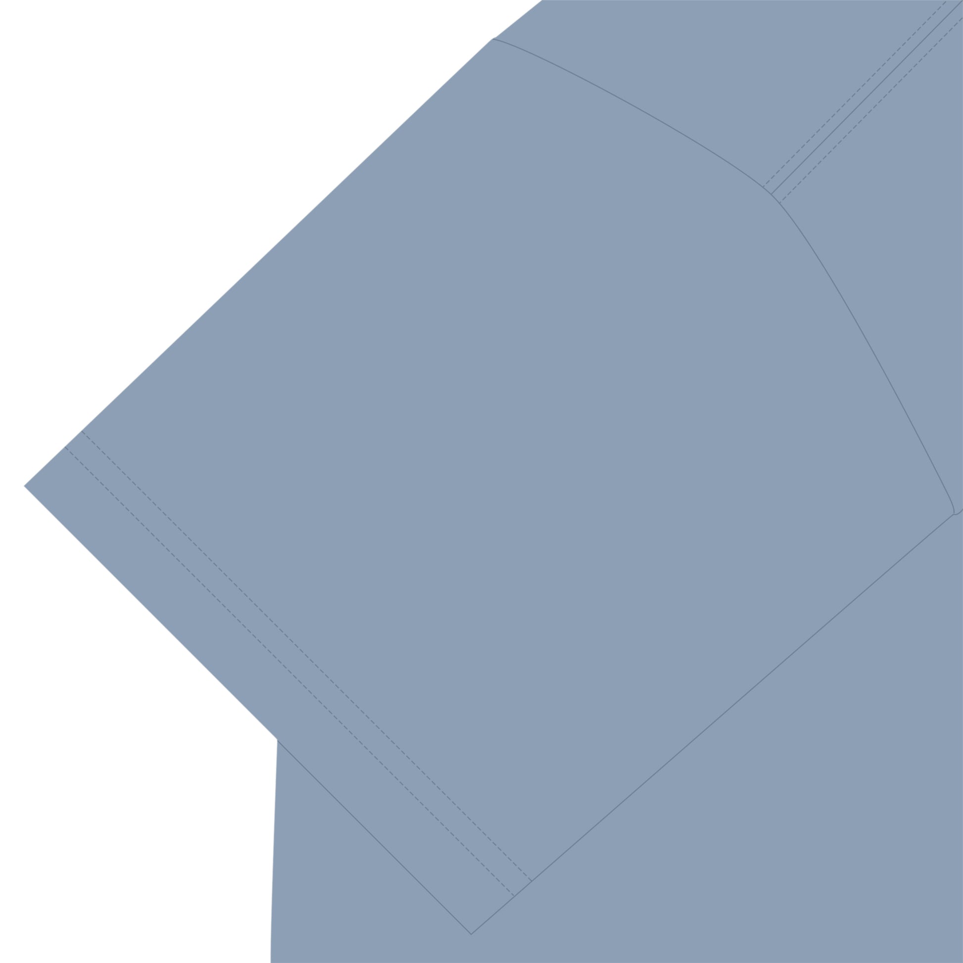 ビションフリーゼT acid-blue image