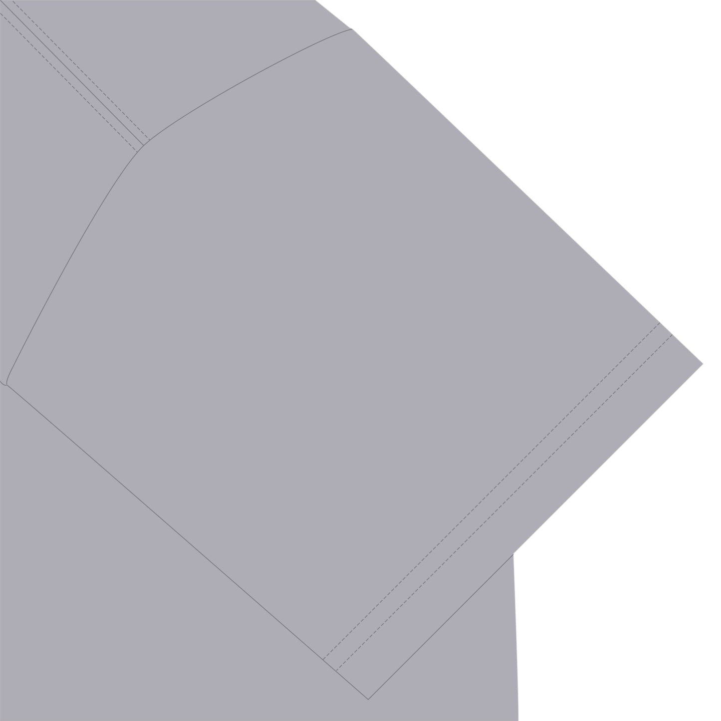 ビションフリーゼT ash image