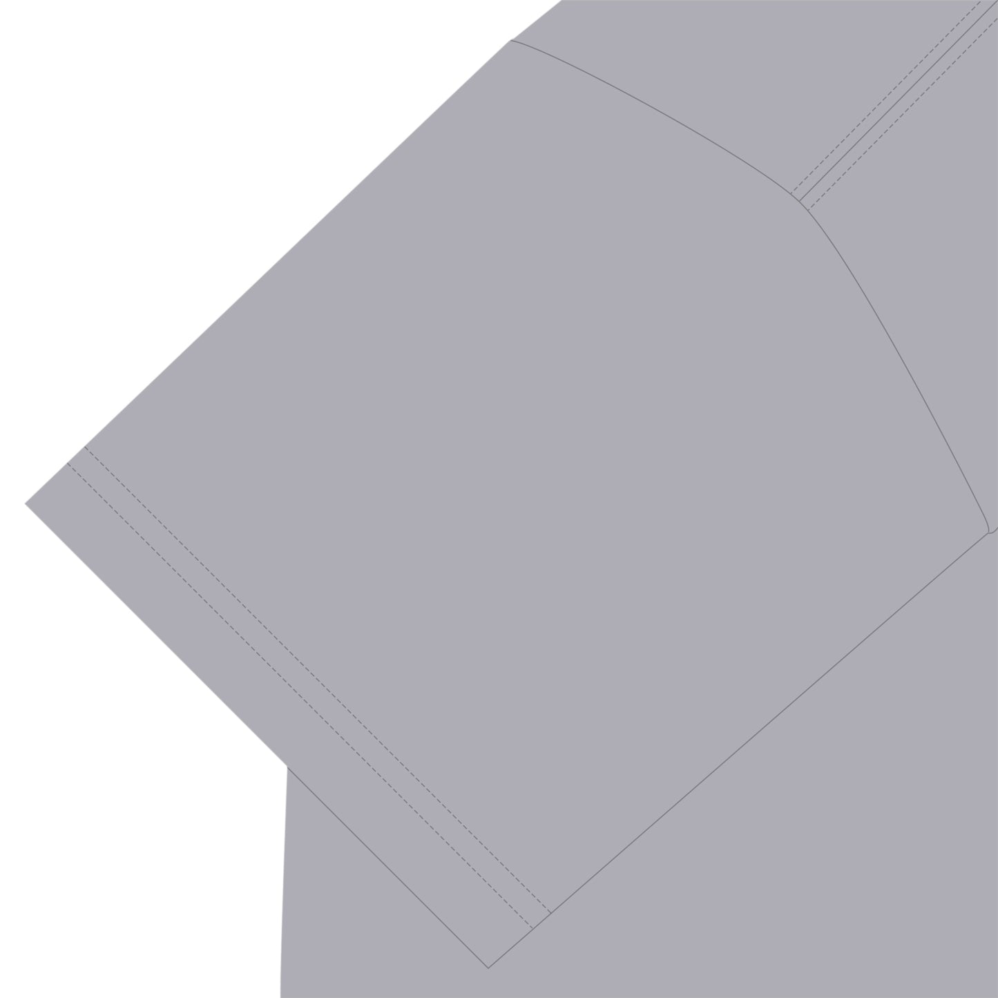 ビションフリーゼT ash image