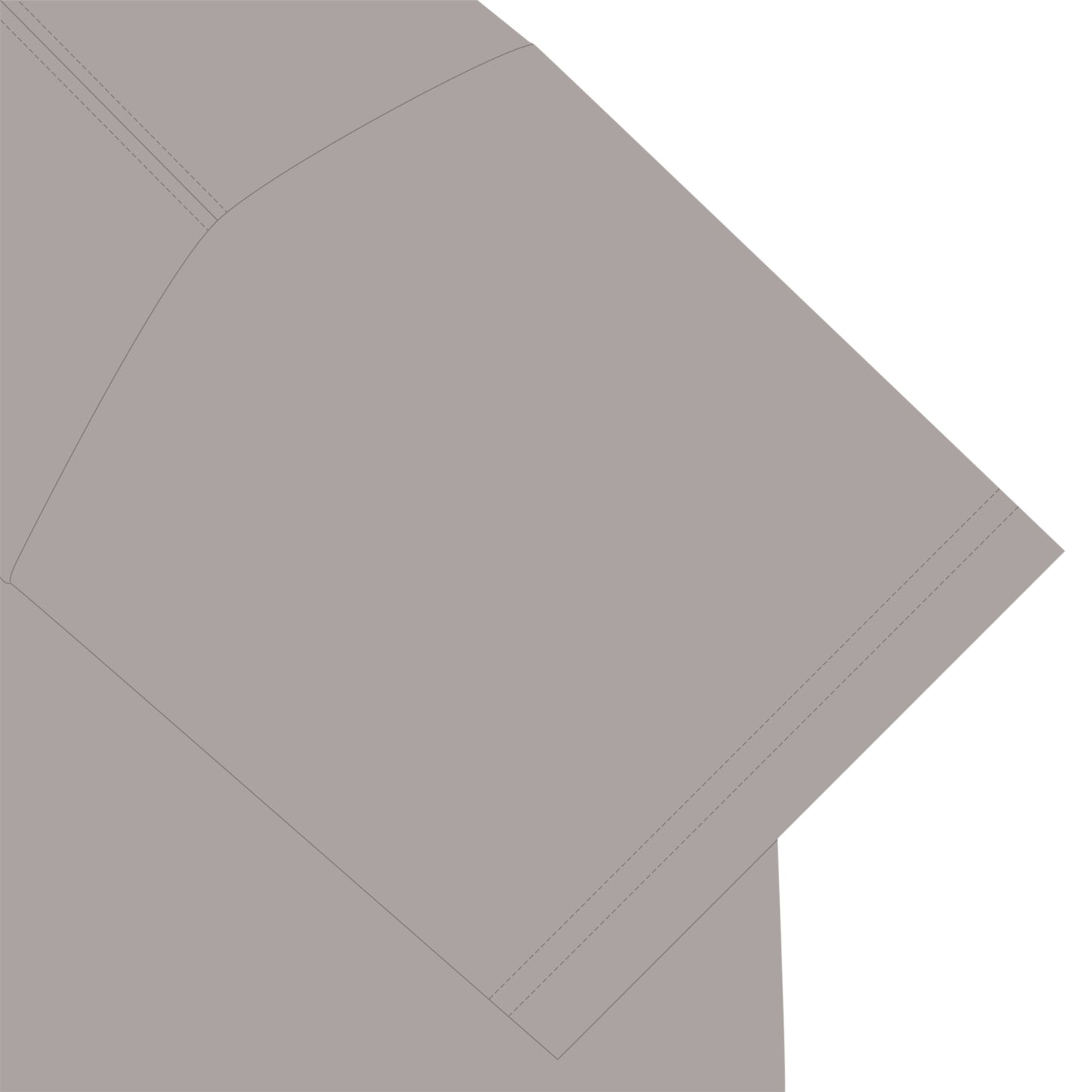 ビションフリーゼT light-gray image