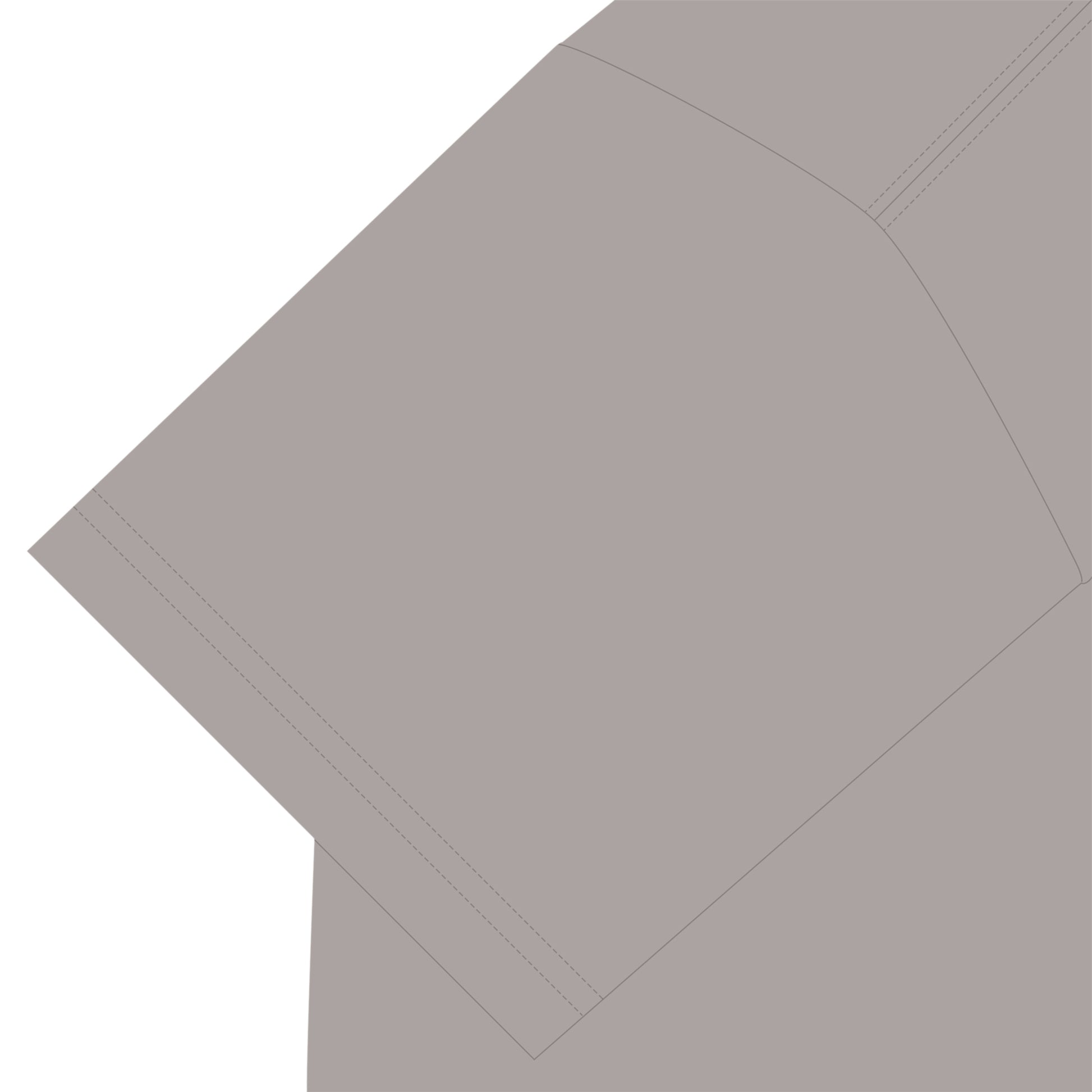 ビションフリーゼT light-gray image