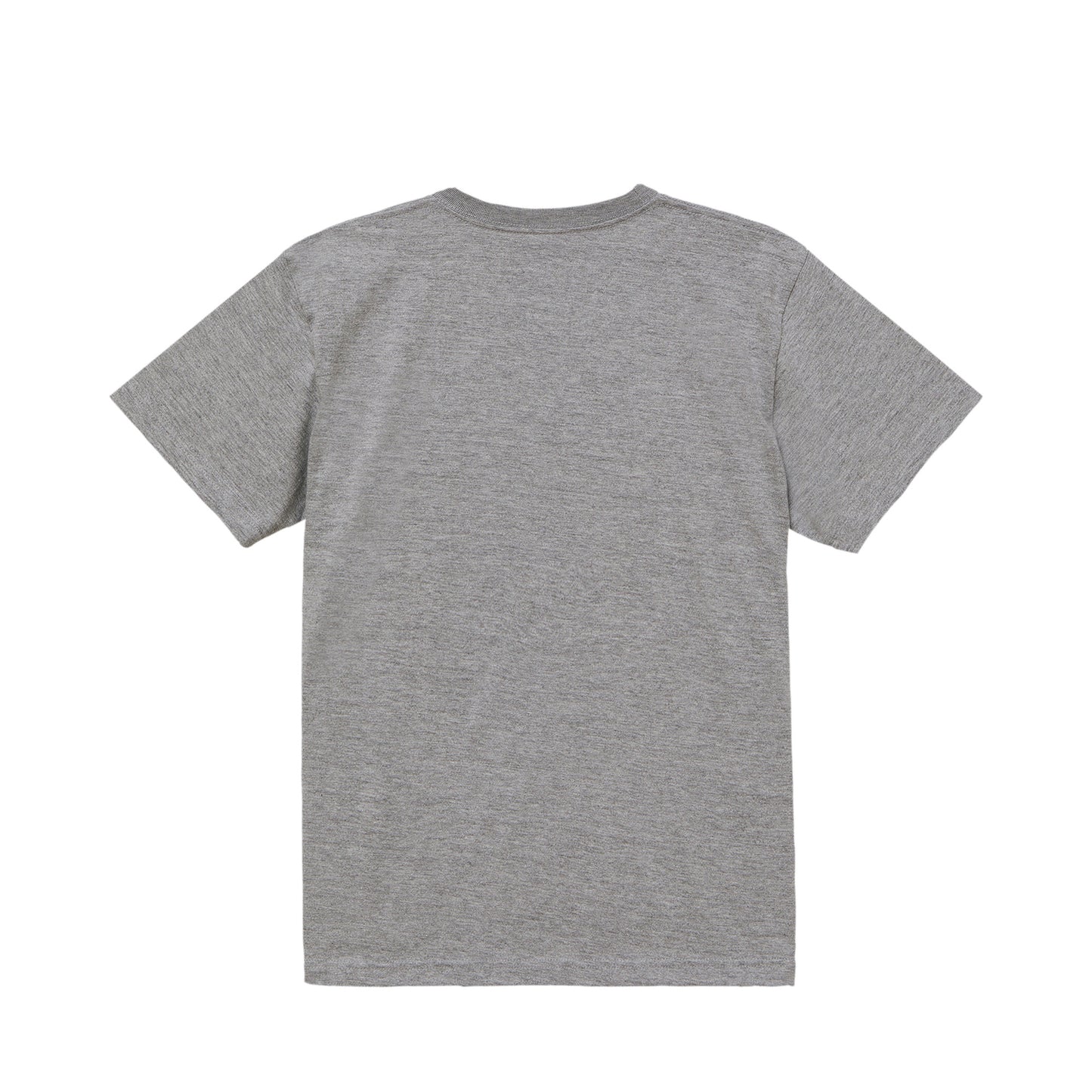 ビションフリーゼT mixed-gray image