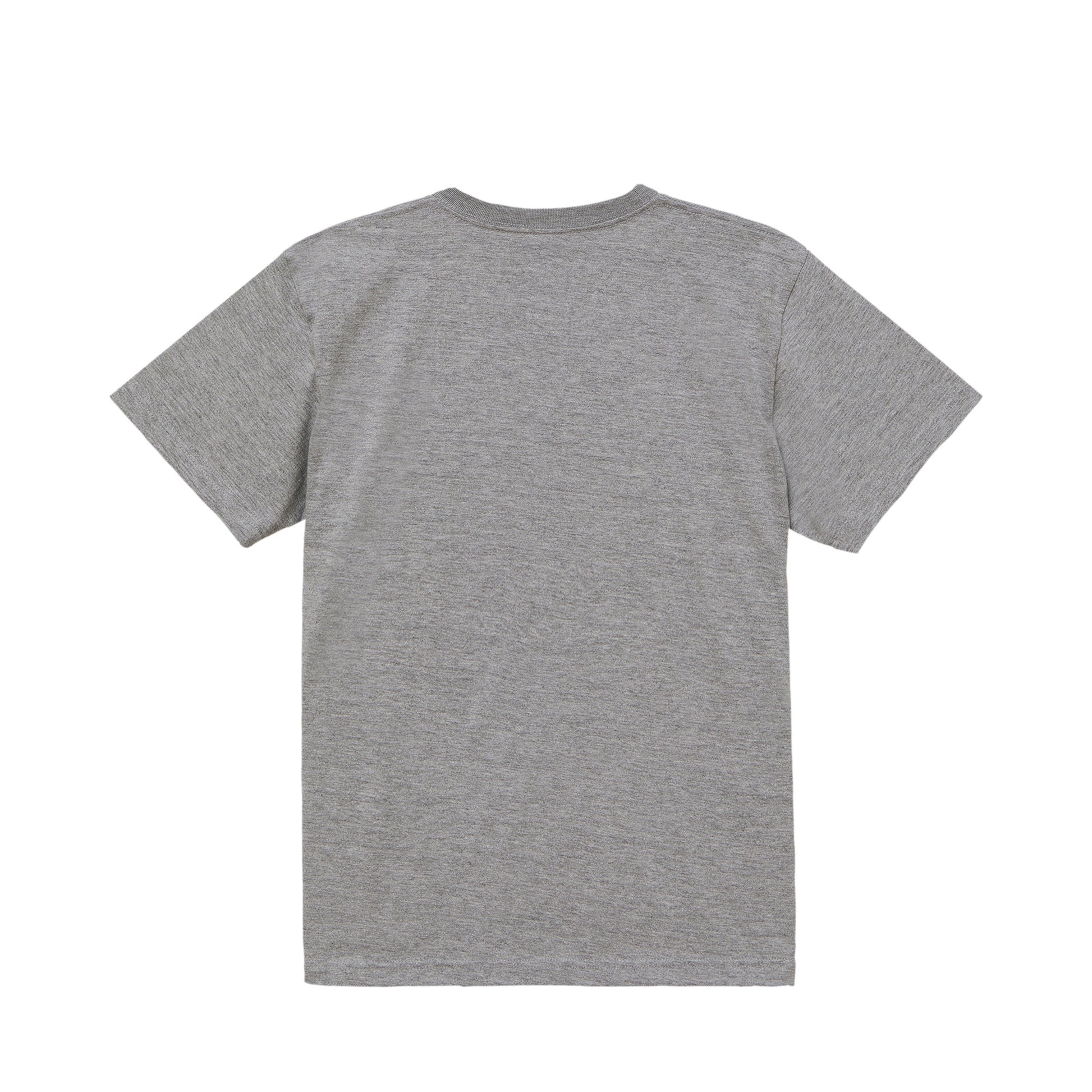 ビションフリーゼT mixed-gray image