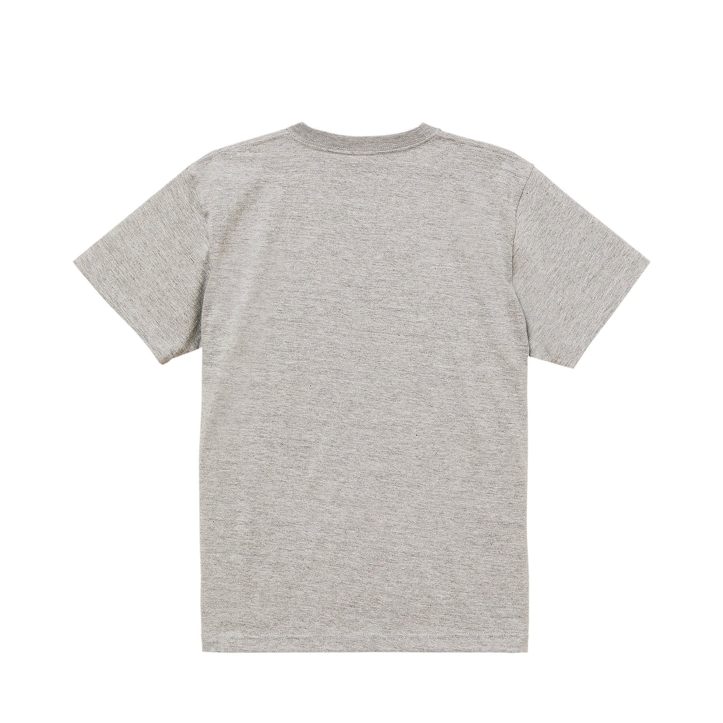 ビションフリーゼT oatmeal image