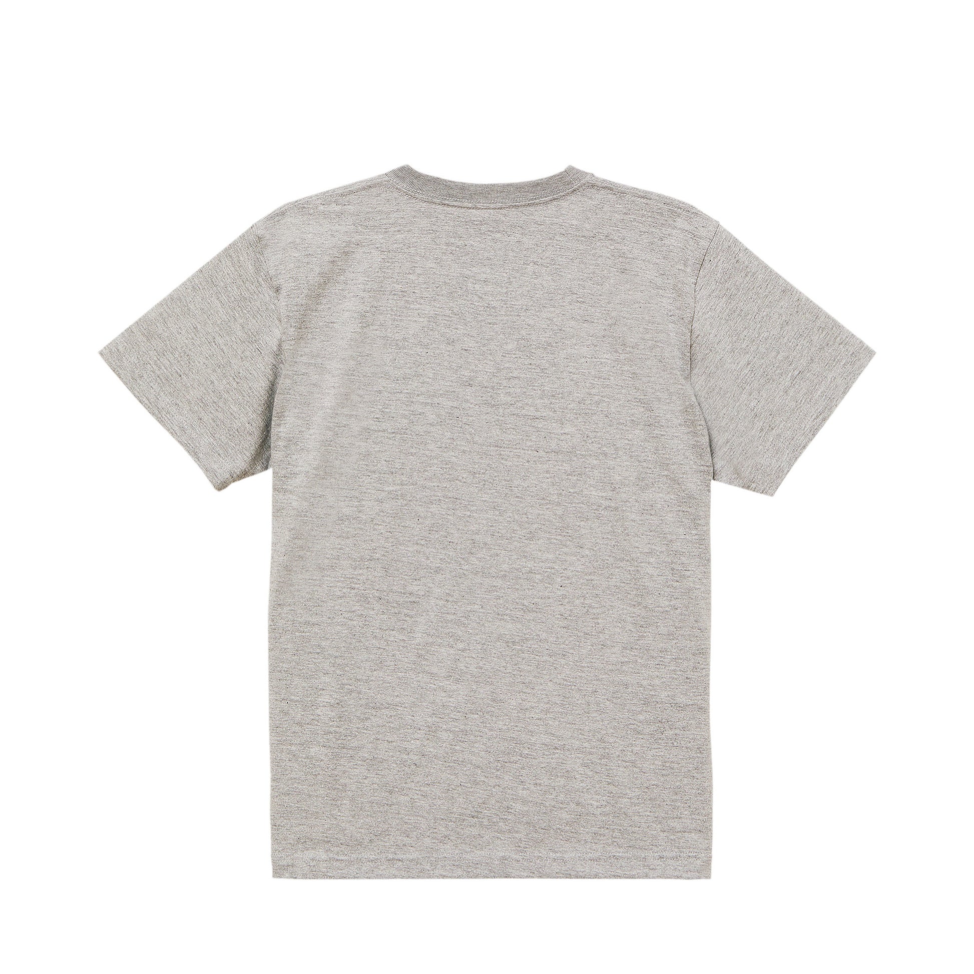 ビションフリーゼT oatmeal image