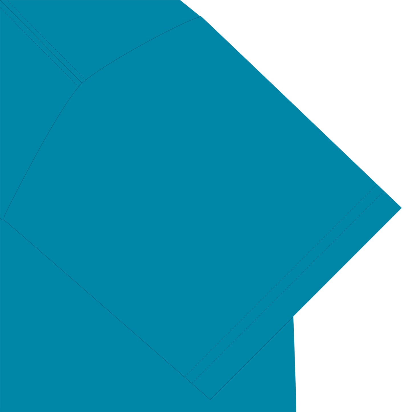 ビションフリーゼT turquoise-blue image