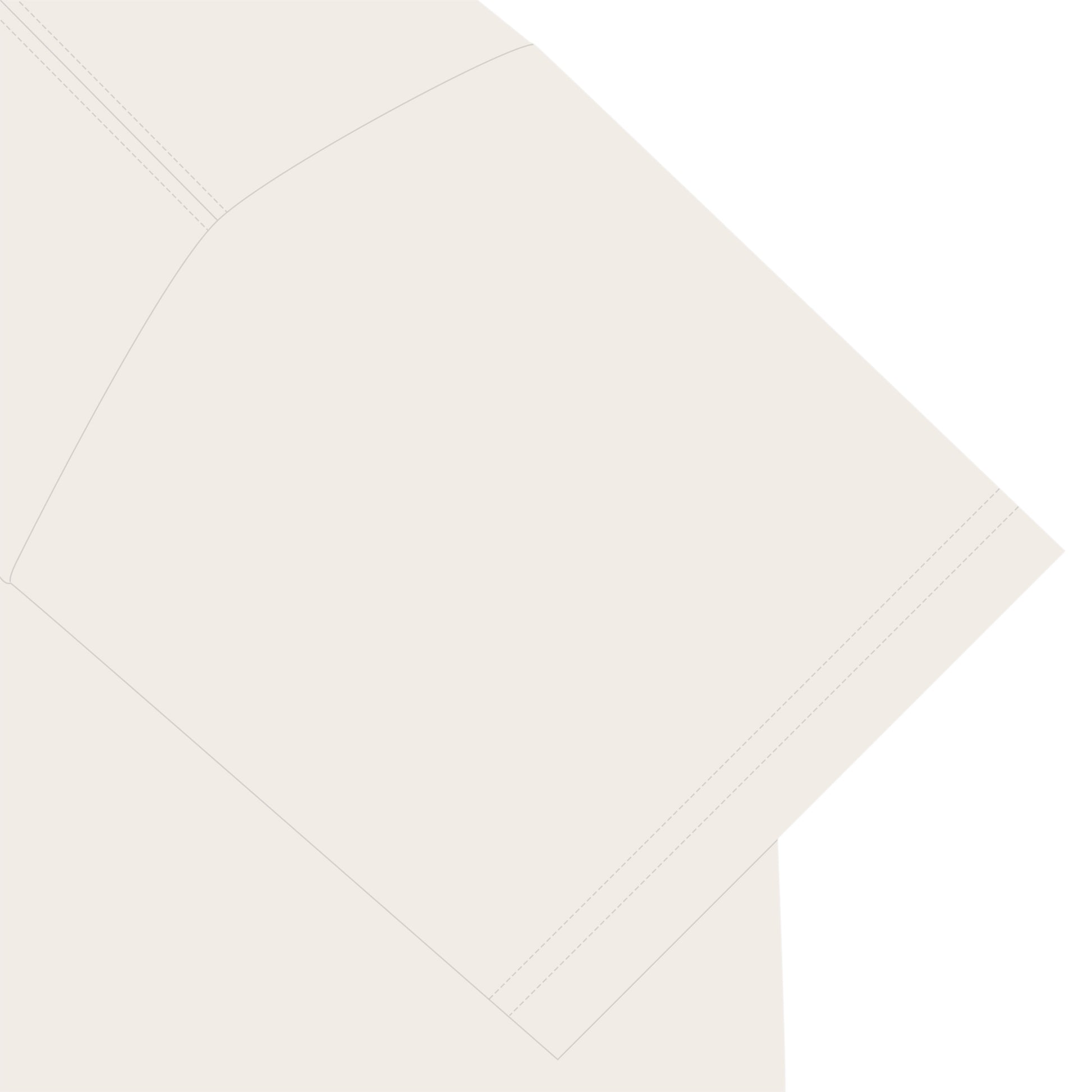 ビションフリーゼT vanilla-white image