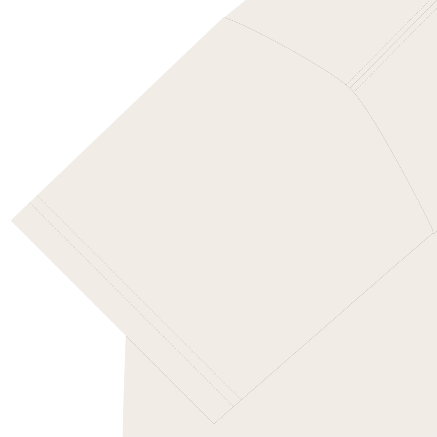 ビションフリーゼT vanilla-white image