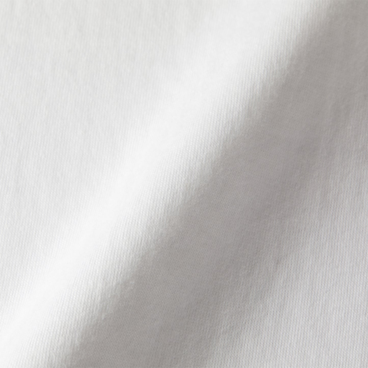 ビションフリーゼT white image