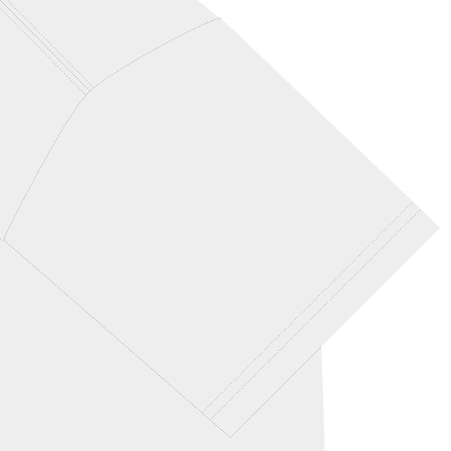 ビションフリーゼT white image