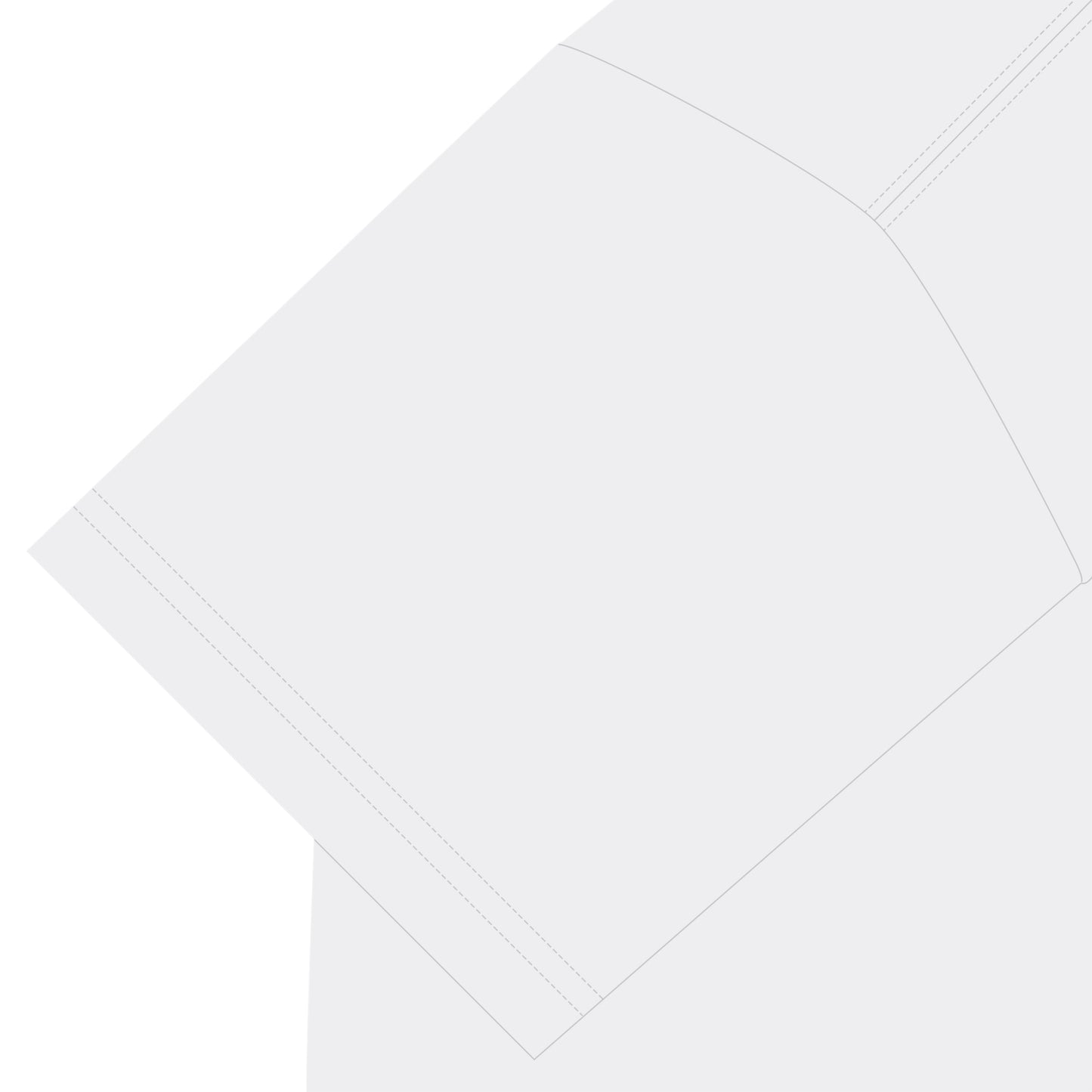 ビションフリーゼT white image